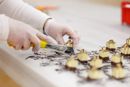 Chocolate-factory-8459